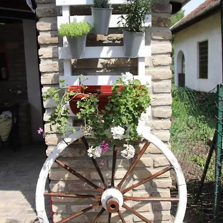 Masa Pr Emina Stipancevic *