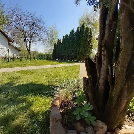 Masa Pr Emina Stipancevic Vila Palic