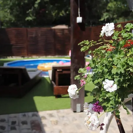 Masa Pr Emina Stipancevic Villa Palić