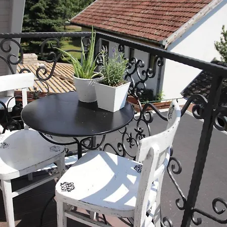 Masa Pr Emina Stipancevic Vila