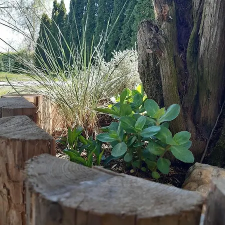 Vila Masa Pr Emina Stipancevic Palic