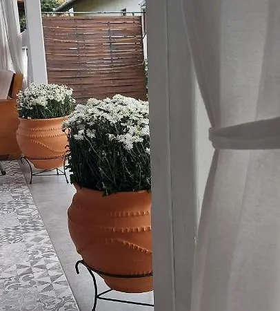 Masa Pr Emina Stipancevic