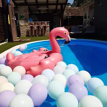 Masa Pr Emina Stipancevic Villa Palić